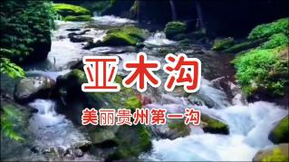 梦幻西游无双